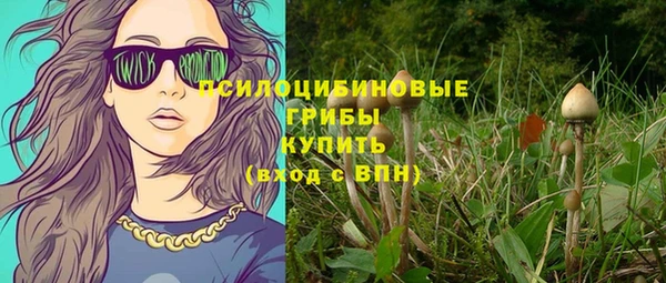 винт Горняк